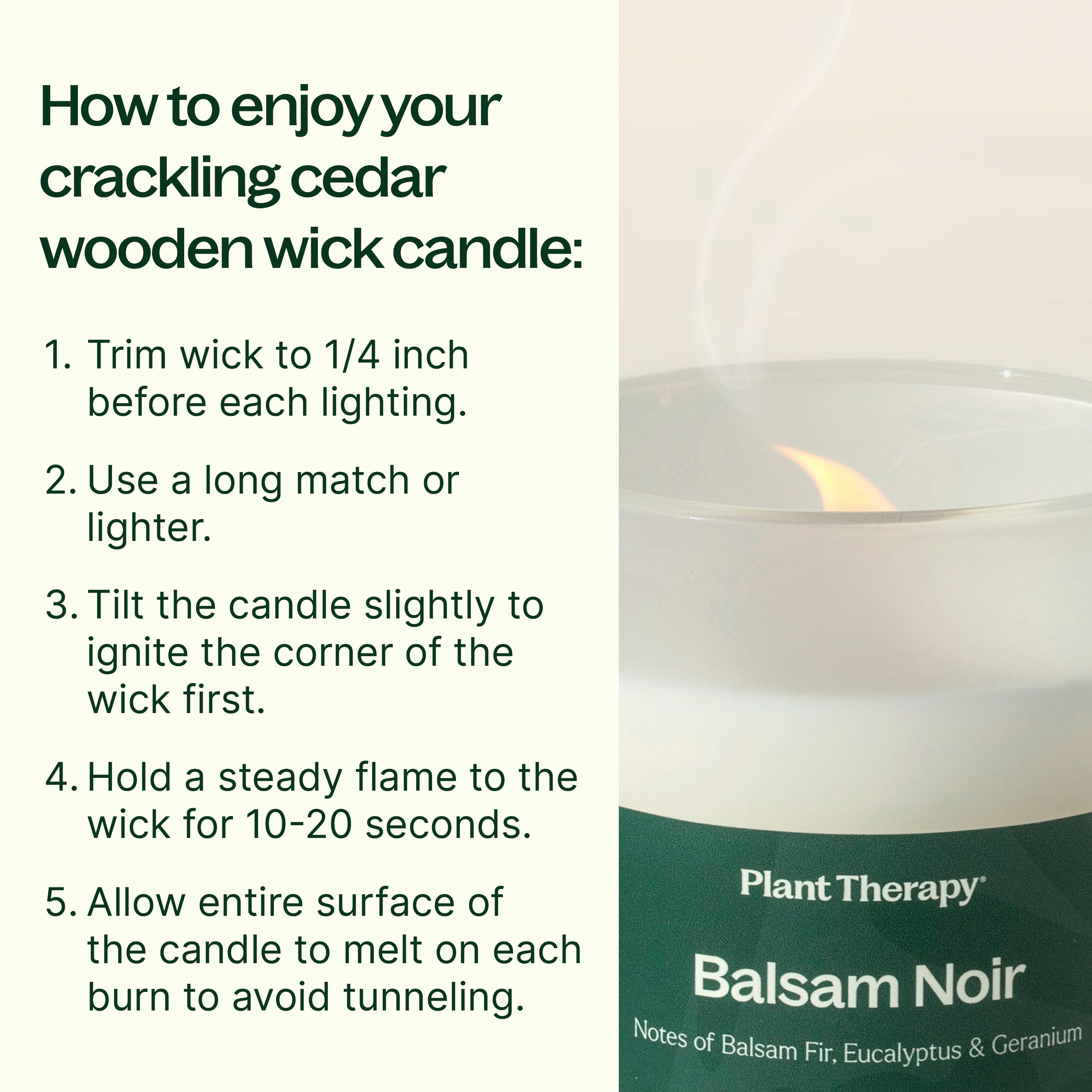 Balsam Noir Naturally Scented Candle