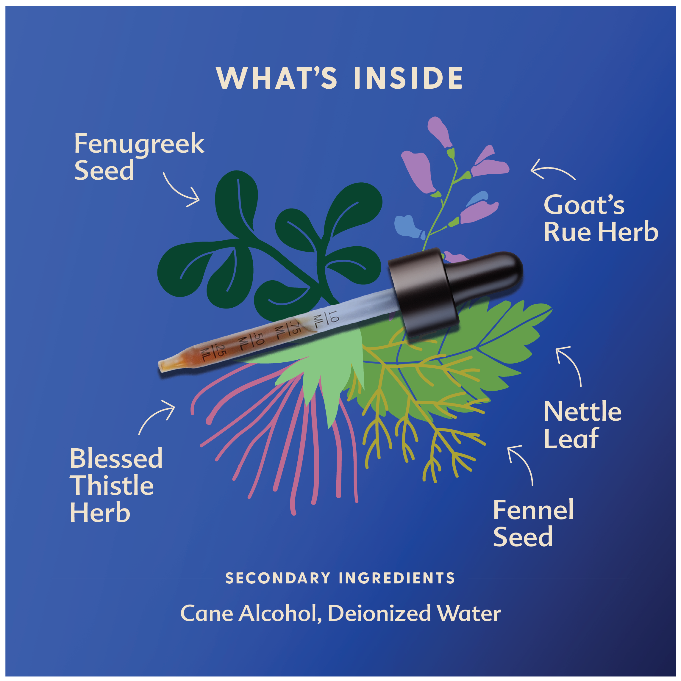 More Milk® Special Blend - Traditional Tincture