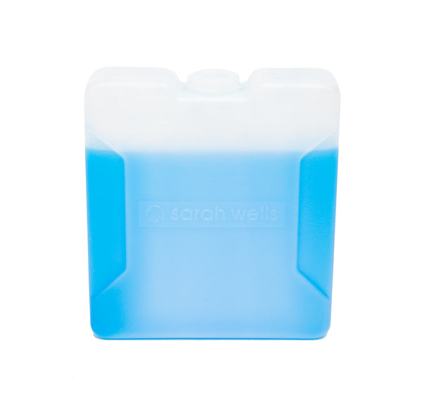 Gel Ice Box Cooler Box Ice Pack Cooler Bag - China Ice Box and