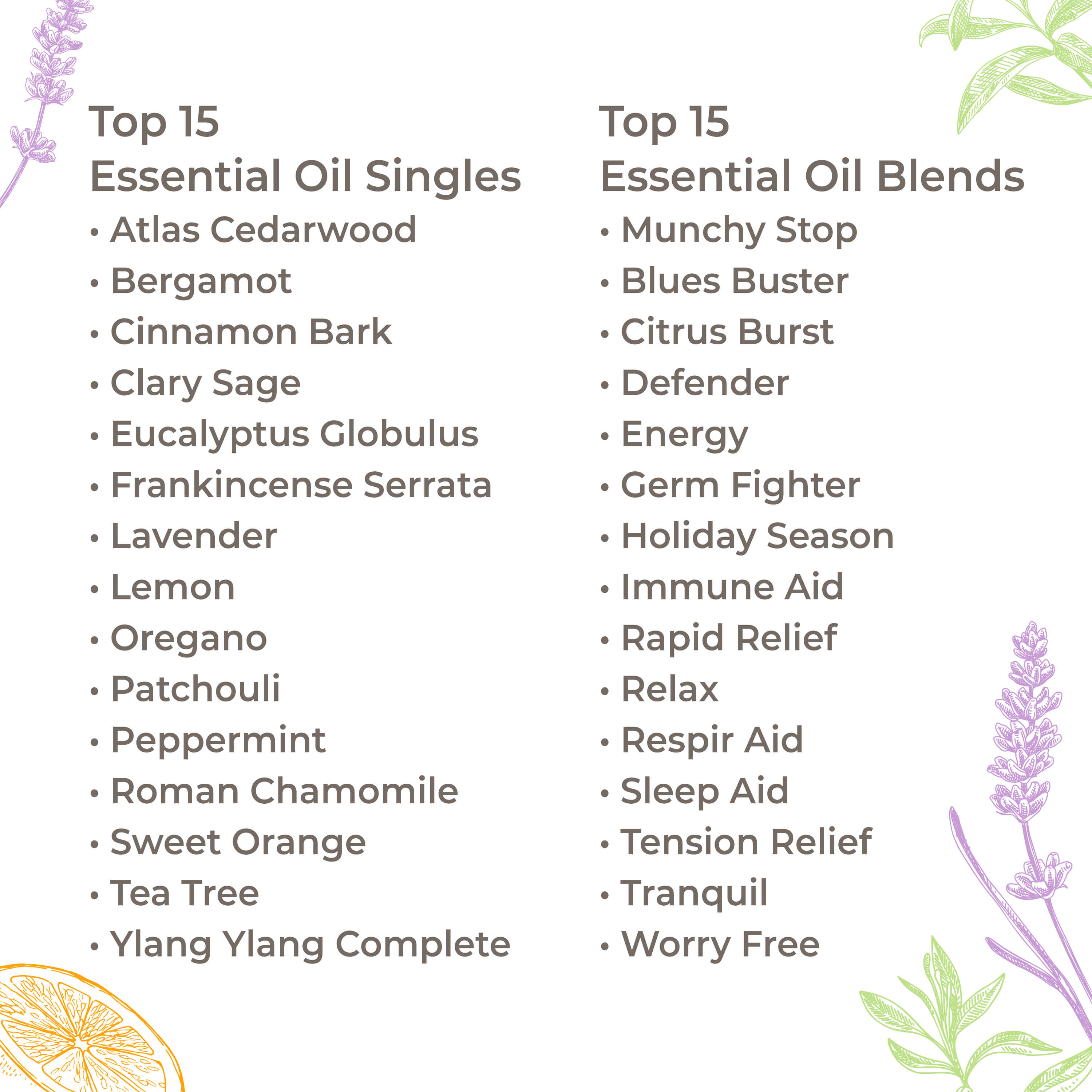 15 &amp; 15 Essential Oil Set with Carrying Case
