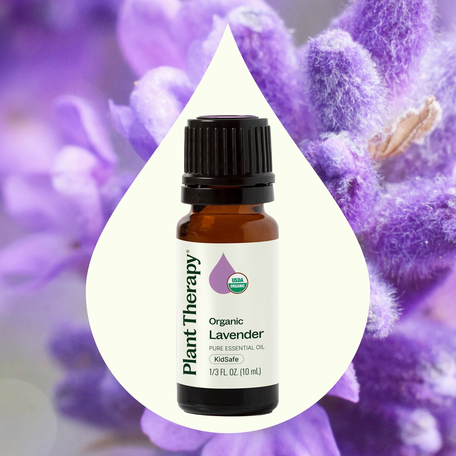sarah lavender plant Organic Lavender Essential Oil – Sarah Wells Bags
