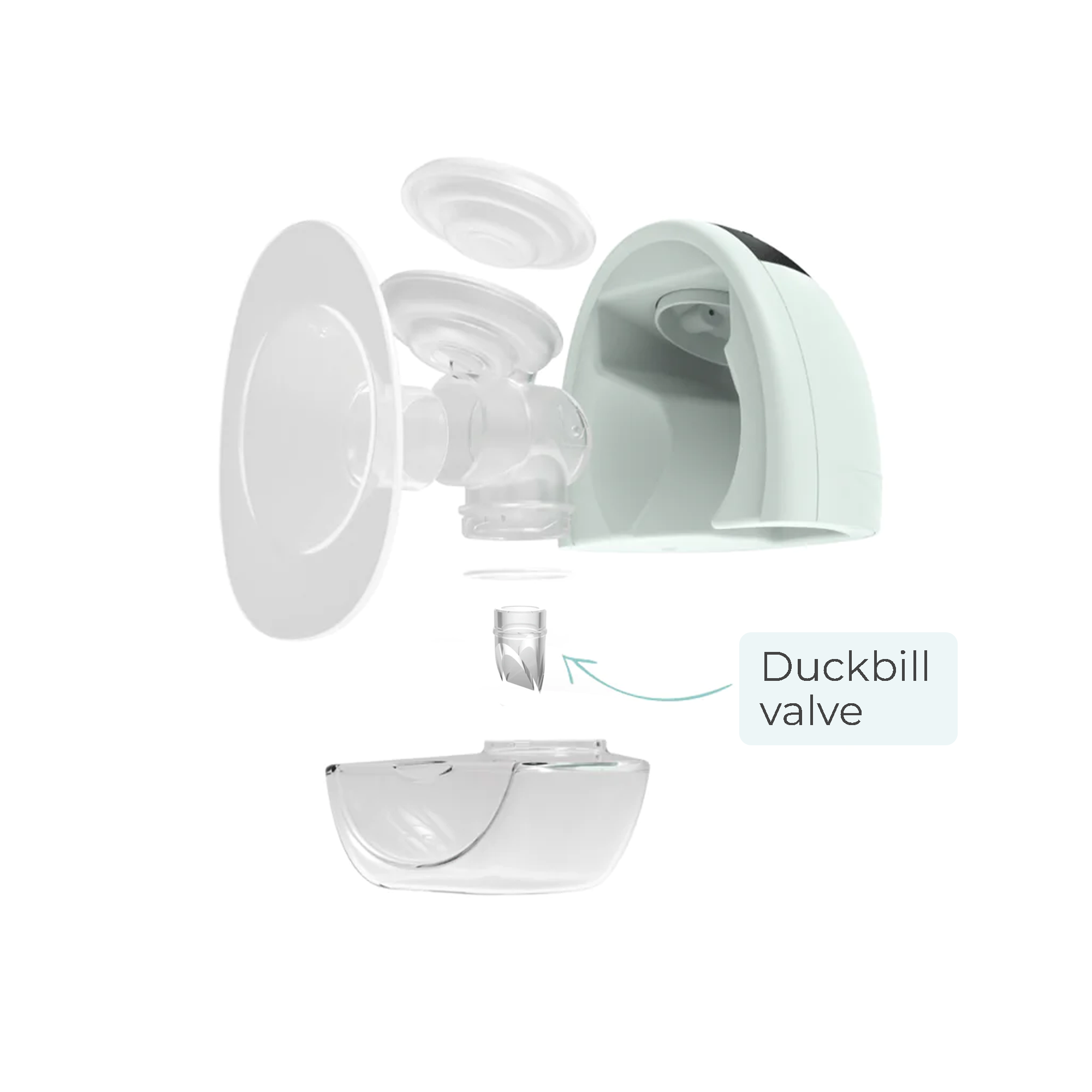 Fit Duckbill Valves (Set of 2)