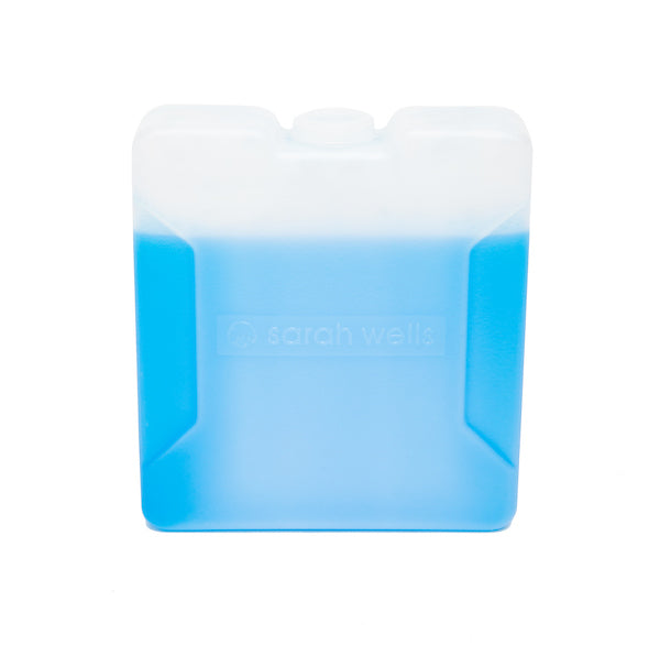 Extra Ice Pack / Breast Pump Bags &amp; Accessories from Sarah Wells